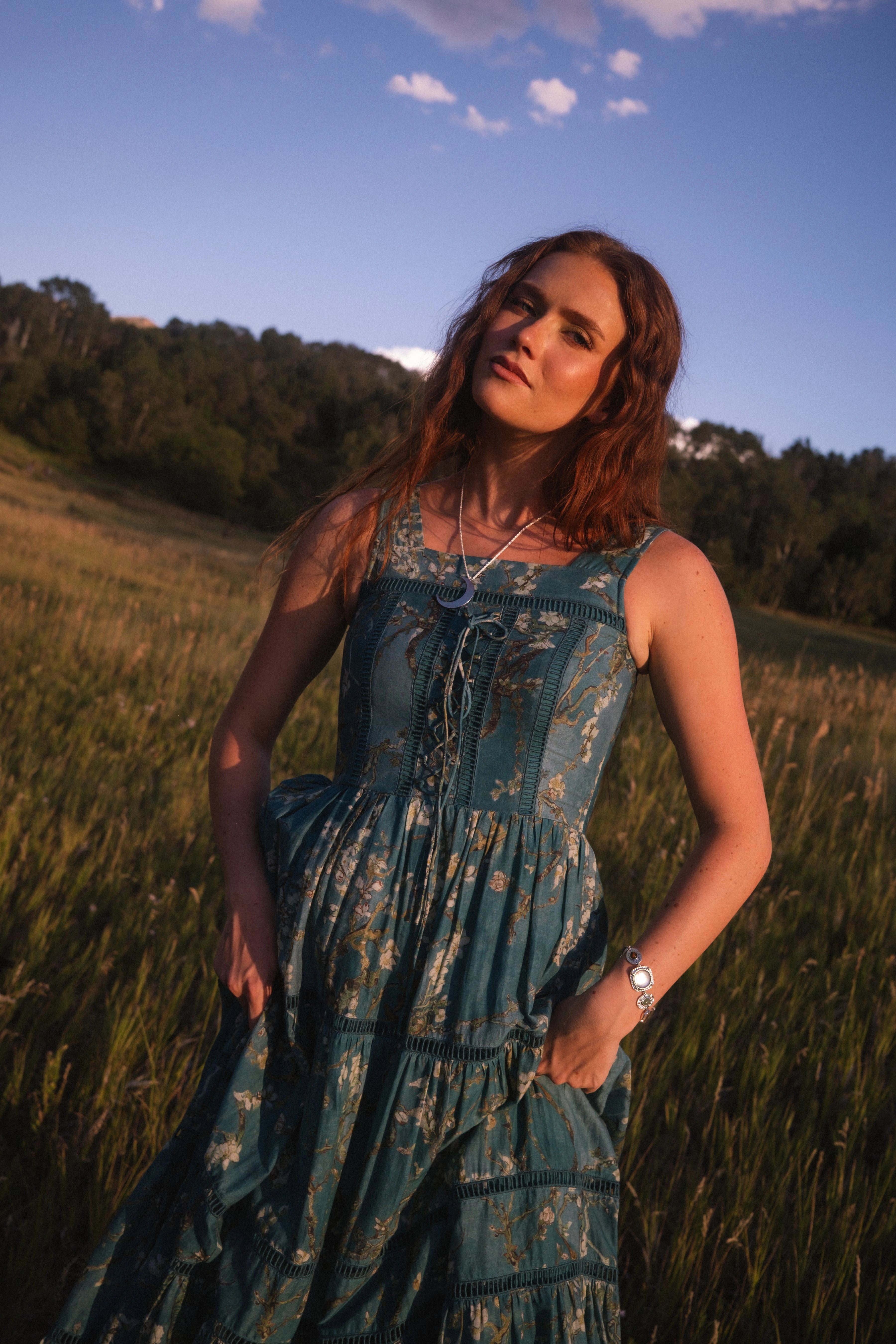 Van Gogh Artist Dress